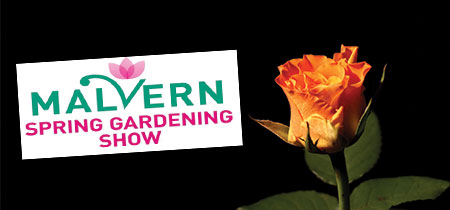 Malvern Flower Show